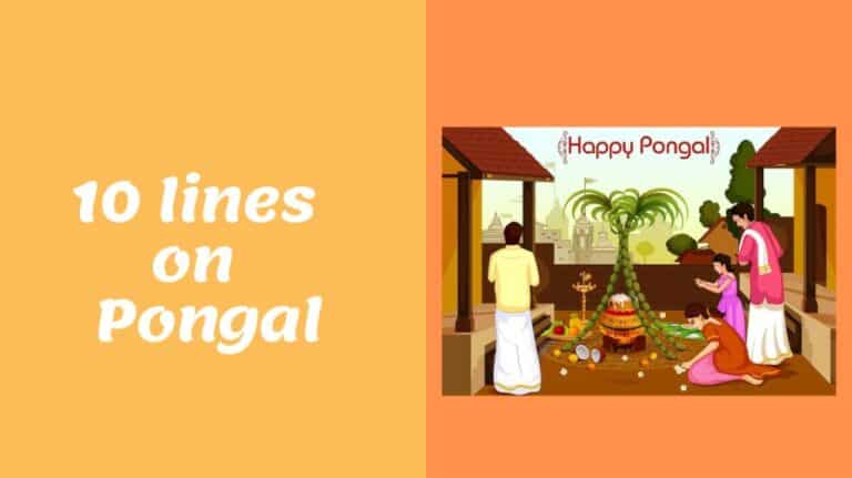 10 Lines on Pongal in Hindi